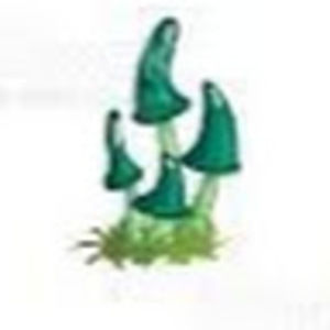 Meet your Posher, Georgia